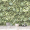 Evergreen Behang Succulent groen en beige