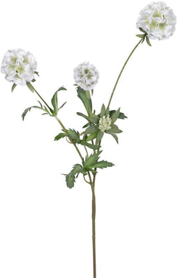 Louis maes - Scabiosa stellata l75cm wit kunstbloem Louis Maes