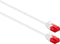 UTP Category 6 Rigid Network Cable Ewent White