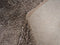 Wasbaar Vloerkleed Beach - Taupe 160 x 230 cm