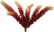 Succulent Plant Sedumpluk - PTMD - Rood En Geel