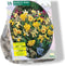 Narcis Mini Mix - 1 x 25 bloembollen