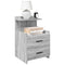 Nachtkastjes 2 st met 2 lades 40x36,5x62 cm grijs sonoma eiken