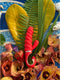 G-Vibe - G-Candy Mini - Chili Coral