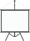 vidaXL - Projectiescherm - met - statief - 4:3 - 60''