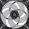 Arctic P14 PWM PST A-RGB 140mm - Ventilator 0dB - Zwart (1-pack)