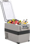 vidaXL - Koelbox - met - handvat - 35 - L - PP - & - PE - zwart - en - wit