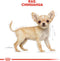 Royal canin chihuahua junior - Default Title