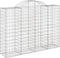 vidaXL - Schanskorven - 3 - st - gewelfd - 200x50x140/160 - cm - ijzer