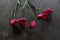 Silk-ka Kunstbloem-Zijden Bloem Fritillaria Tak Roze 64 cm Voordeelaanbod Per 2 Stuks