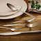 VILLEROY & BOCH - Annalena 18/10 - Bestekset 30-dlg 6 persoons - Zilver