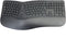 Conceptronic Wireless Ergonomic Keyboard & Mouse Kit - Draadloos - FullSize Qwertz DE