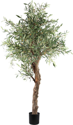 PTMD Kunstplant Olijf - 120x120x210 cm - Polyester - Groen
