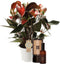 Set Anthurium Rainbow en interieur parfum (World of Opportunities) ↨ 50cm - hoge kwaliteit planten