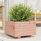 vidaXL - Plantenbak - 40x40x26,5 - cm - massief - douglashout
