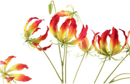 PTMD Lelie Kunstbloem - 110 x 42 x 107 cm - Kunststof - Rood