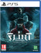 Microids Flint - Actie Avontuur - Turn-based tactische gevechten (PS5)