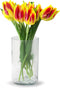 Jodeco Bloemenvaas Chelsea - helder transparant - glas - 12,5 x 20 cm - cilinder vaas