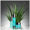 Clinique For Men Maximum Hydrator 72-Hour Auto-Replenishing Hydrator - 50 ml