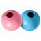 Kong Goodie Bone - Kauwbestendig rubber - Voor puppy's - Blauw/Roze (1 ST)