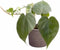 Plantenset “Love of my heart” (in Laos keramiek)