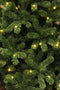 Black Box Trees Charlton - Kunstkerstboom - 100 LED lampjes - H155 x Ø91 cm - Groen