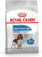 Royal Canin Light Weight Care Medium - Hondenvoer - 3 kg