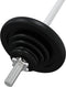 vidaXL - Halter - met - gewichten - 90 - kg - gietijzer