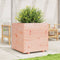 vidaXL - Plantenbak - 70x70x72 - cm - massief - douglashout