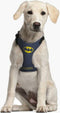 Hondentuigje Batman Blauw XS/S
