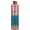 Shampoo Risfort 8436006868436 (500 ml)