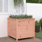 vidaXL - Plantenbak - 82,5x82,5x78 - cm - massief - douglashout