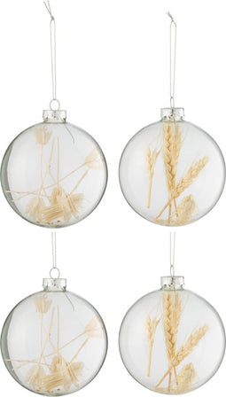 J-Line kerstbal Gedroogde Takjes - glas - transparant/beige - large - doos van 4