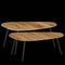 Mica Decorations Jailey - Bijzettafel - Set van 2 - Unieke organische vorm - Bruin (2 stuks)