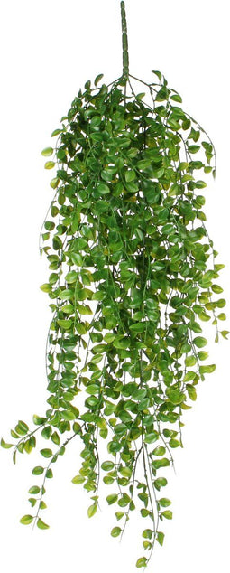 Mica Decorations Ficus Kunst Hangplant - H81 cm - Onderhoudsvrij - Groen