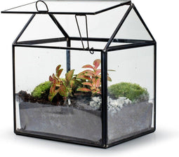 Growia - Terrarium Groeikas- 20cm