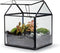 Growia - Terrarium Groeikas- 20cm