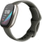 Fitbit Versa Sense - Smartwatch - Stressmeting en huidtemperatuur - Grijs