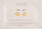 MZ Skin Hydra Bright Golden Eye Treatment Mask