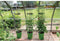 Plantenbak met Waterreservoir