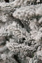 Black Box Trees Snowdon - Kunstkerstboom - H155 x Ø102 cm - Groen frosted