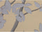 Schilderij Home ESPRIT Orientaals 30 x 3,5 x 60 cm (3 Stuks)