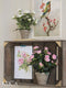 Mica Decorations Rozenstruik Kunstplant in Bloempot Stan - H33 x Ø25 cm - Roze