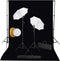 vidaXL - Fotostudioset - met - lampen, - paraplu's, - achtergrond - en - reflector