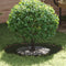 vidaXL - Plantenring - Olijfgroen - Ø40/70 - cm - Staal