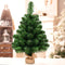 Coast Kunstkerstboom - 60 cm - PVC takken - groene cementvoet