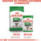 Royal Canin Mini Ageing 12+ Natvoer - Hondenvoer - 12x85 g