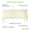 Juskys Zonneluifel - 400 x 120 cm - Waterafstotend en UV-Bestendig - Beige