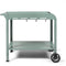 Plancha trolley - LIVOO - GS168V - Groen / Zwart