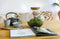 Growing Concepts DIY Duurzaam Ecosysteem Bol - H30xØ18cm